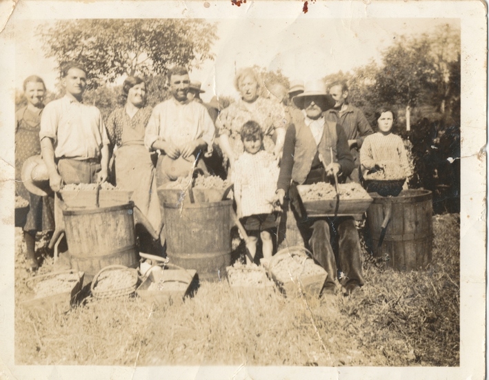 1937 Vendanges au puits.jpg